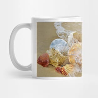 Seashells by the Seashore Mug